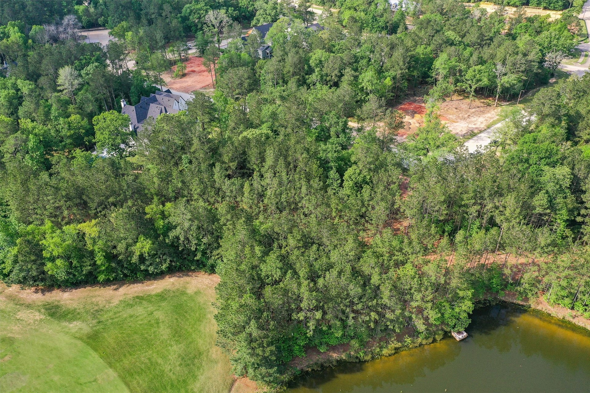 138 Royal Palm Avenue, Montgomery, TX 77316