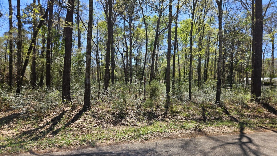 Property photo for 15566 Firewood Dr, Conroe, TX