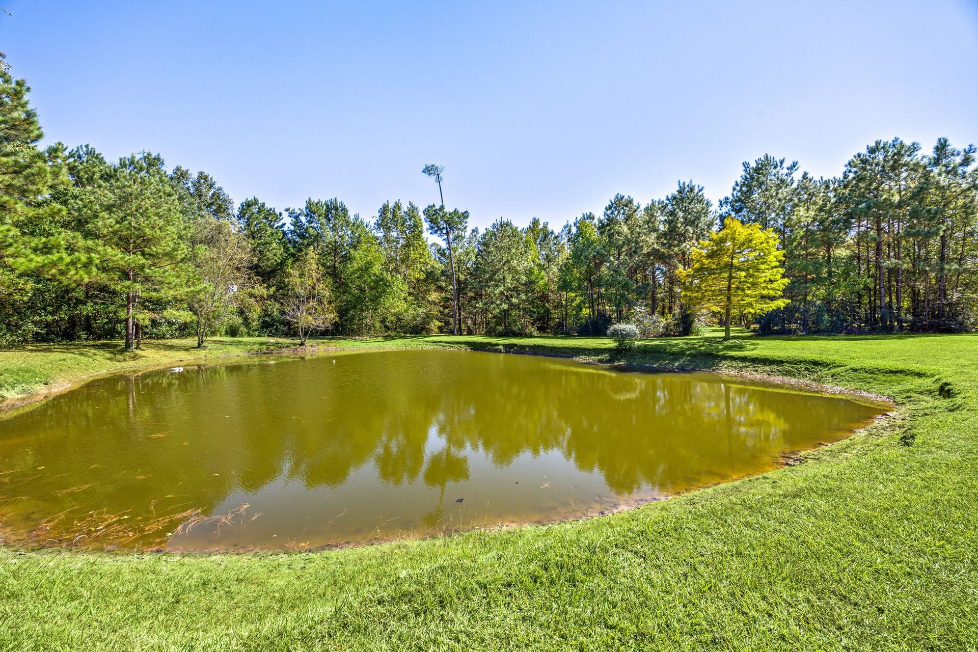 13506 Stagecoach Road, Magnolia, TX 77355 Enjoy the tranquility of your own private pond surrounded by mature trees and open green space. Whether relaxing by the waters edge or watching the sunset reflect across the surface, this peaceful view captures the essence of country living.