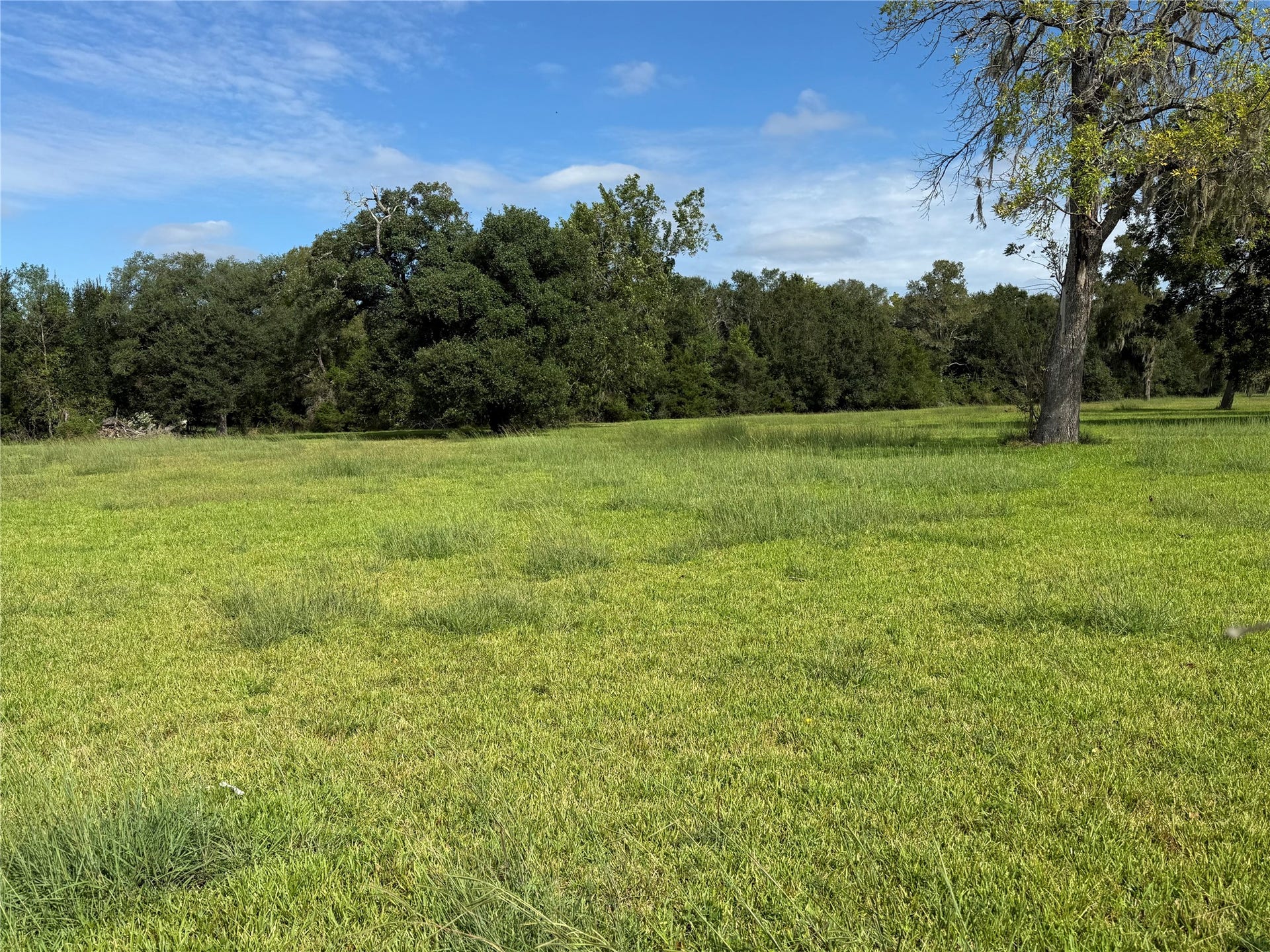 2988 County Road 5, West Columbia, TX 77486 2988 County Road 5, West Columbia, TX 77486