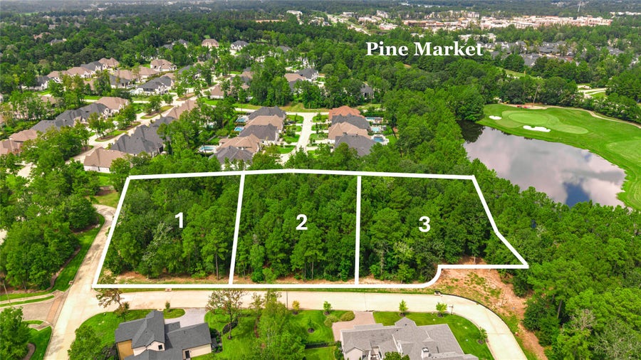 Property photo for 100 Castle Pines Drive, Montgomery, TX