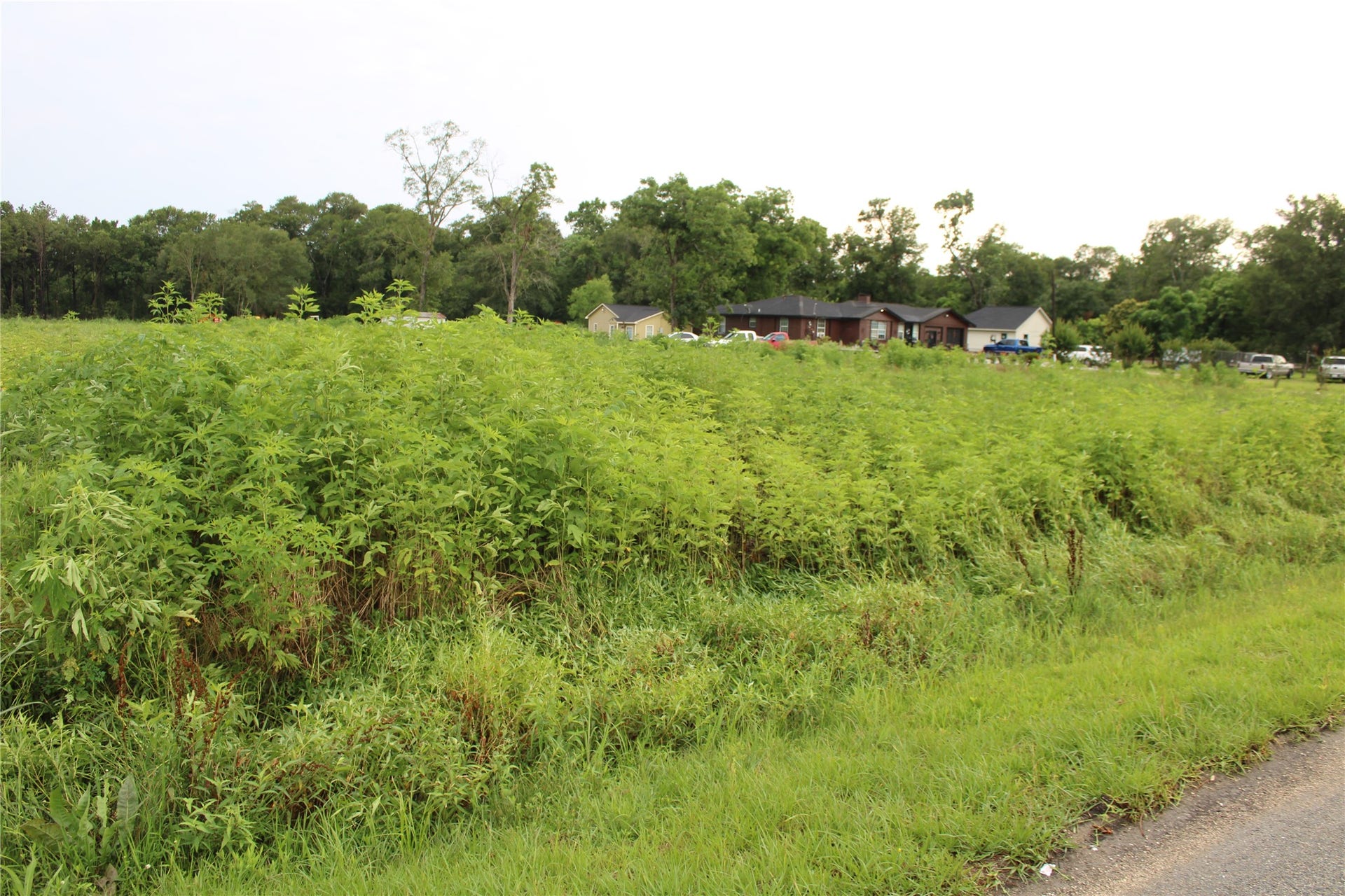 6116 Hermann Road, Houston, TX 77050 Street view