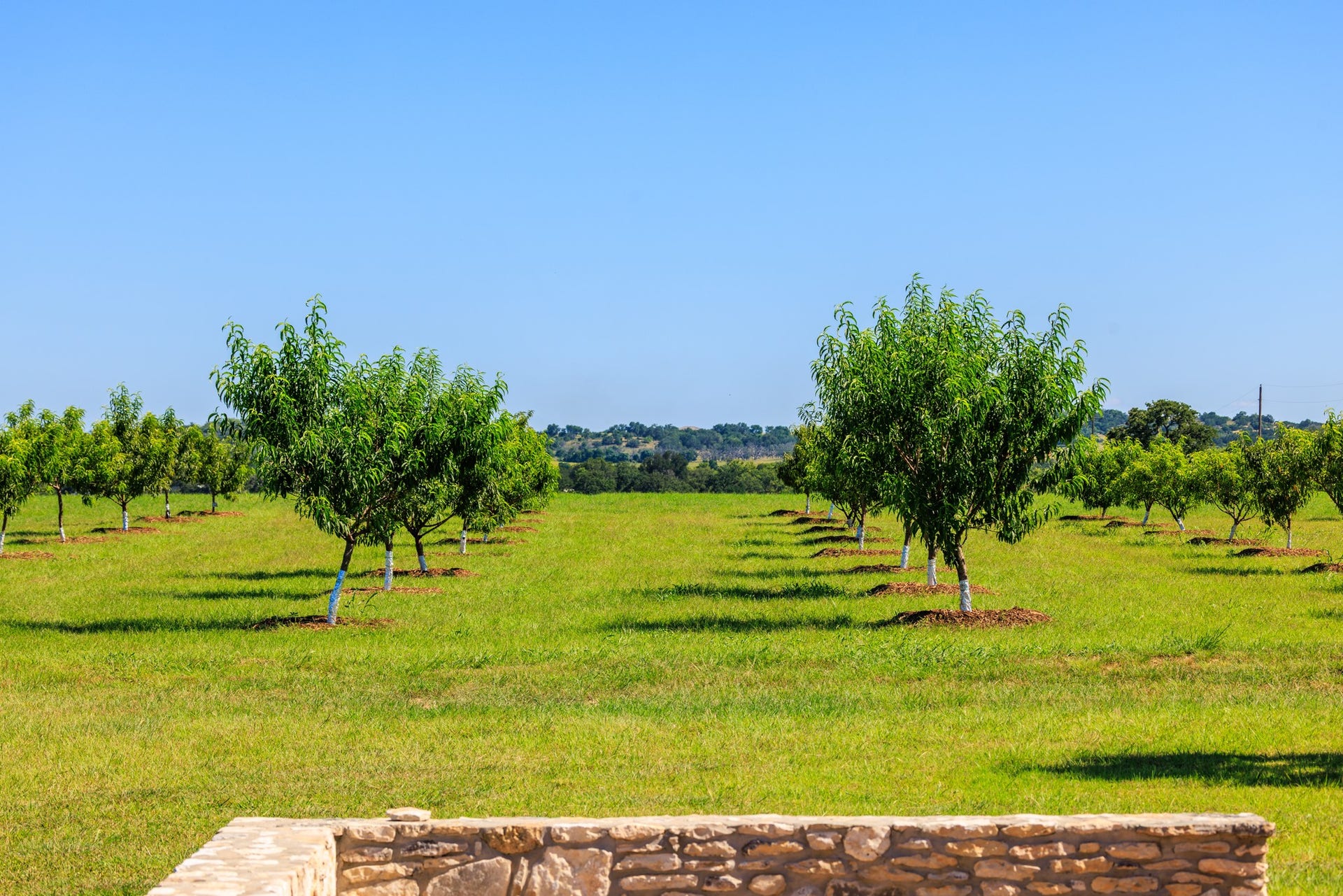 745 Dusty Farm Lane, Fredericksburg, TX 78624 745 Dusty Farm Lane, Fredericksburg, TX 78624