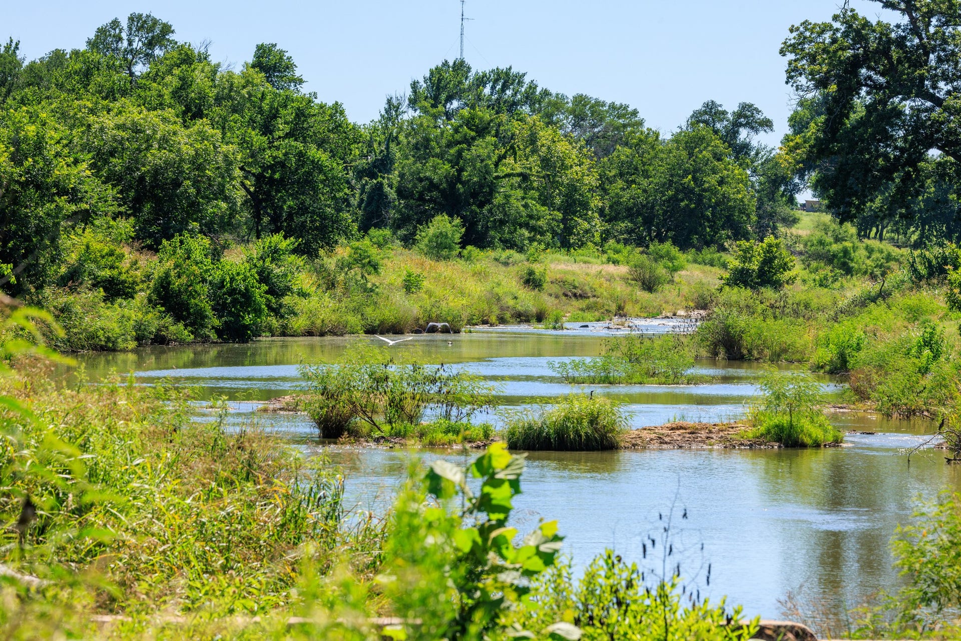 745 Dusty Farm Lane, Fredericksburg, TX 78624 745 Dusty Farm Lane, Fredericksburg, TX 78624