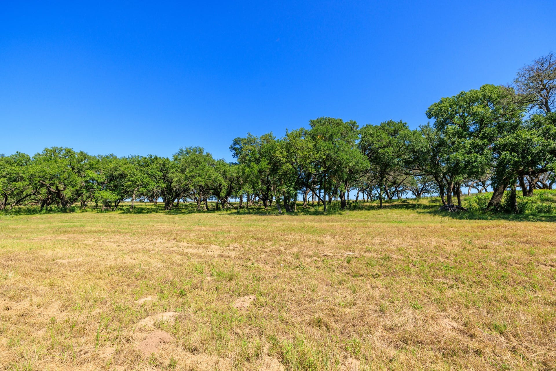 745 Dusty Farm Lane, Fredericksburg, TX 78624 745 Dusty Farm Lane, Fredericksburg, TX 78624