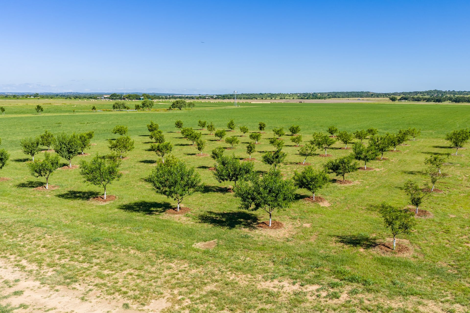 745 Dusty Farm Lane, Fredericksburg, TX 78624 745 Dusty Farm Lane, Fredericksburg, TX 78624