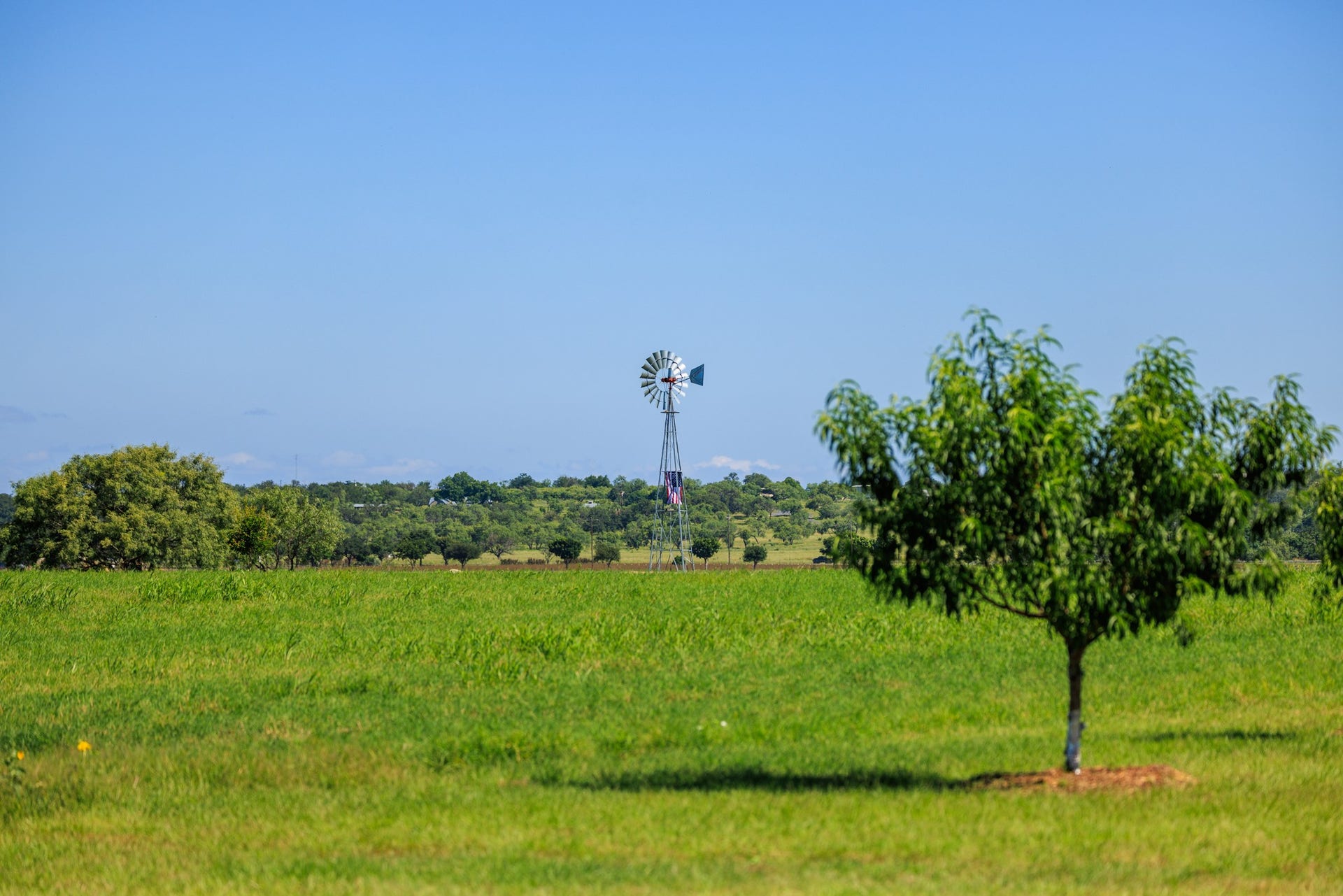 745 Dusty Farm Lane, Fredericksburg, TX 78624 745 Dusty Farm Lane, Fredericksburg, TX 78624
