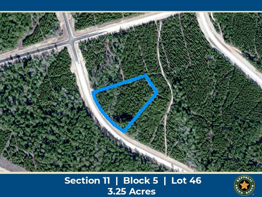 Property photo for 15590 Woodlife Road, Willis, TX
