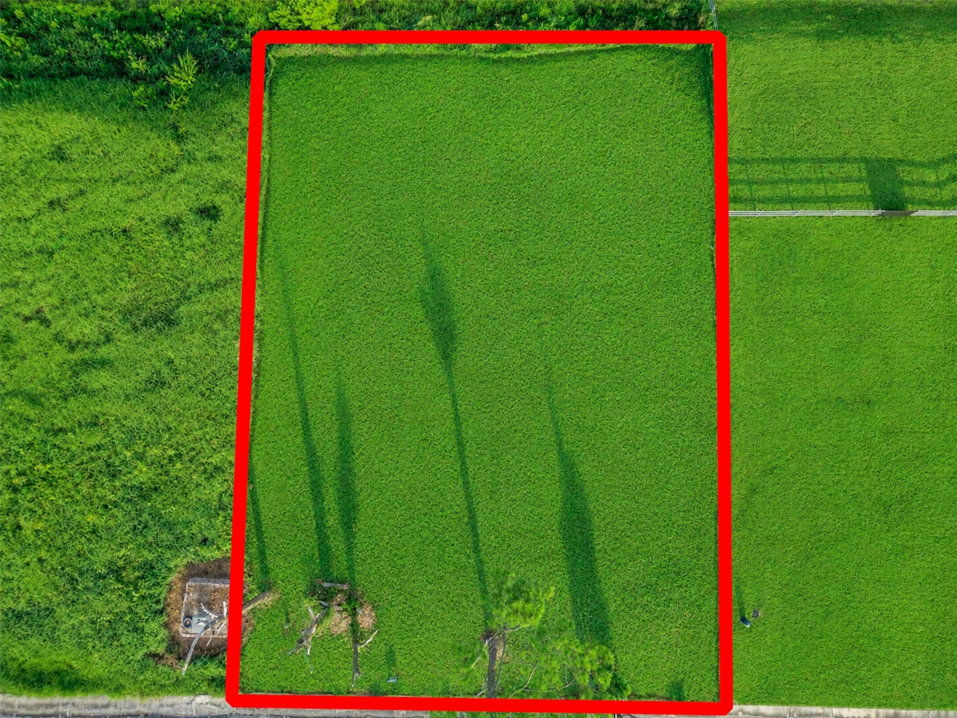 4116 Leslies Way, Dickinson, TX 77539 4116 Leslies Way, Dickinson, TX 77539