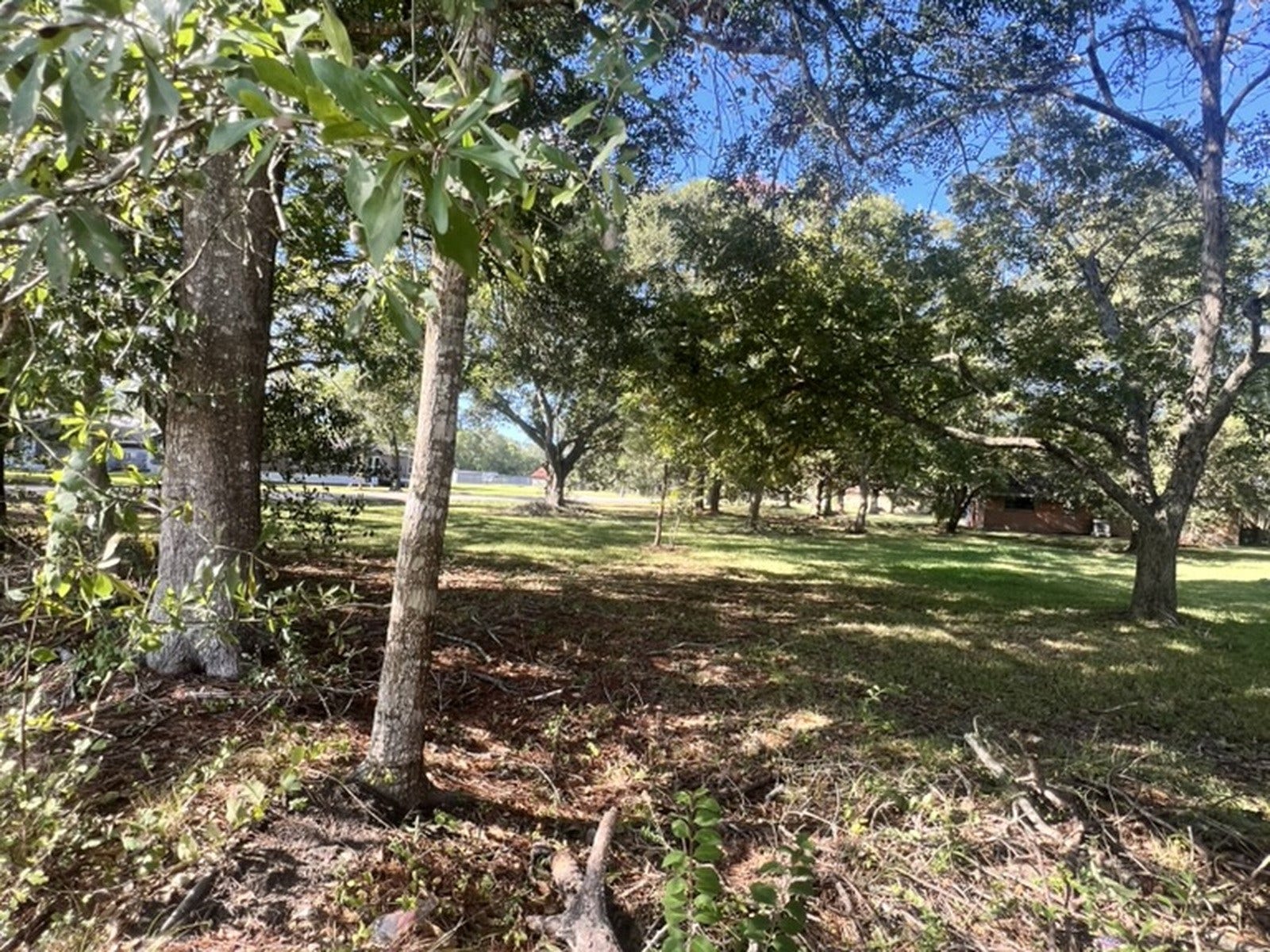 3620 Utah Avenue, Dickinson, TX 77539 3620 Utah Avenue, Dickinson, TX 77539