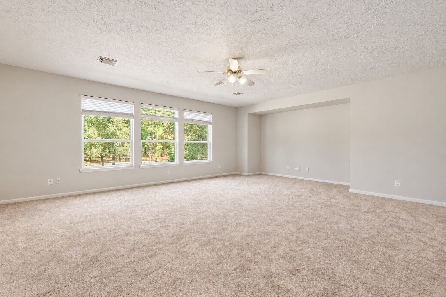 20002 Country Lake Drive, Magnolia, TX 77355