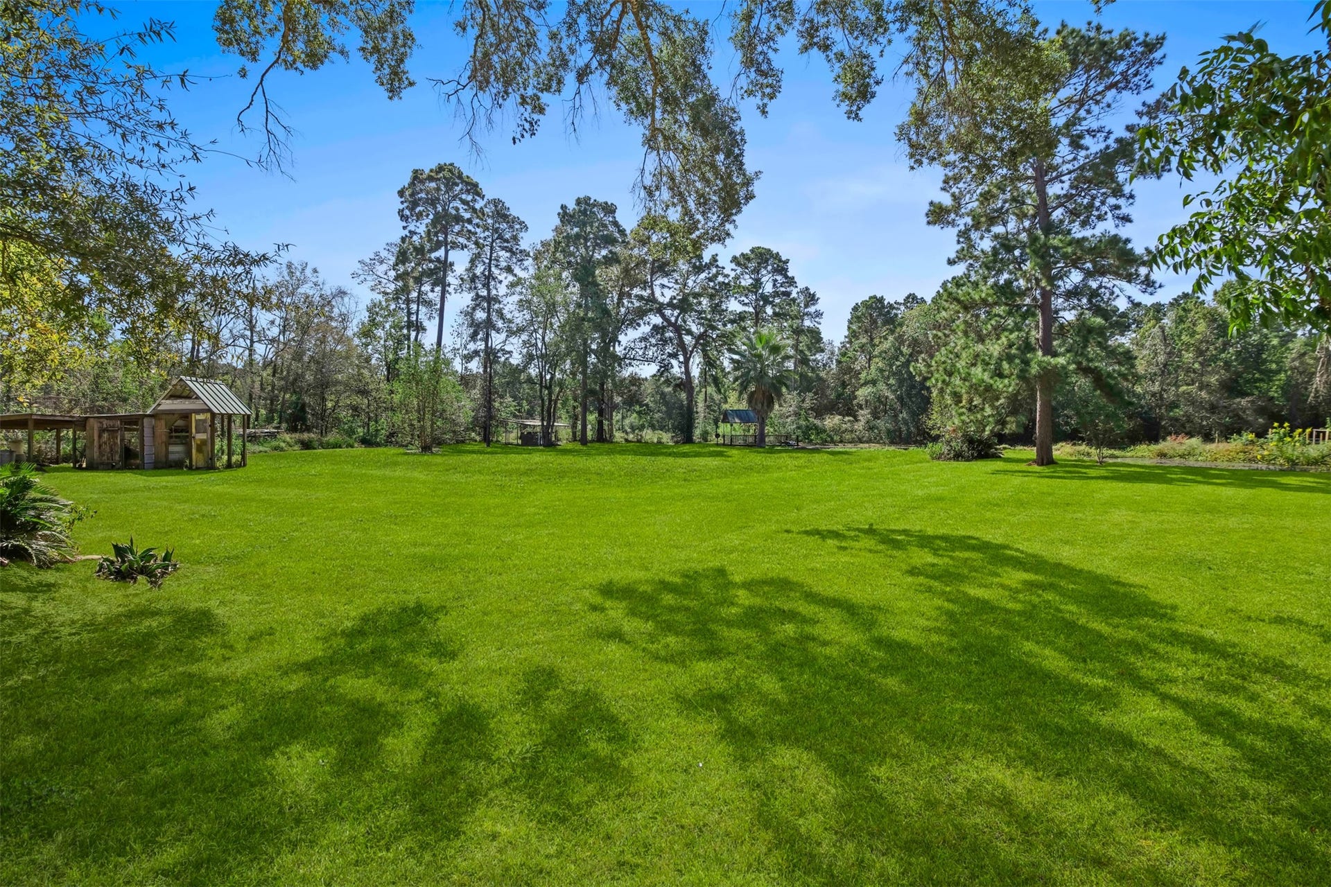 Another view of the great space for a pool, playground or animals just outside your backdoor. **Grass virtually enhanced**