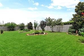 2209 Rocky Shores Lane, Pearland, TX 77089 Huge backyard