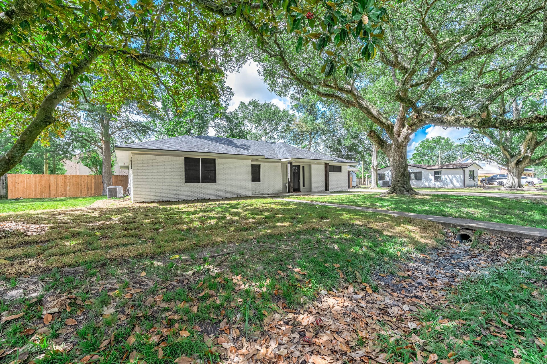 717 Cedar Lawn Drive, Alvin, TX 77511 Mature Trees