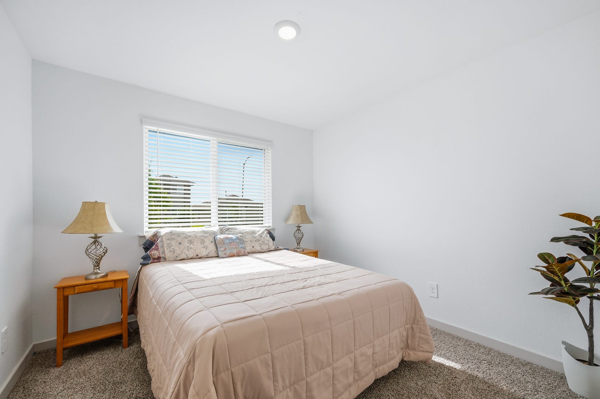 7002 Fleetwood Crescent Way, Richmond, TX 77407 Bright, cozy bedroom with a large window allowing natural light, neutral walls, and carpeted flooring. Features a comfortable bed with side tables and decorative lamps, plus a small indoor plant for a touch of greenery.