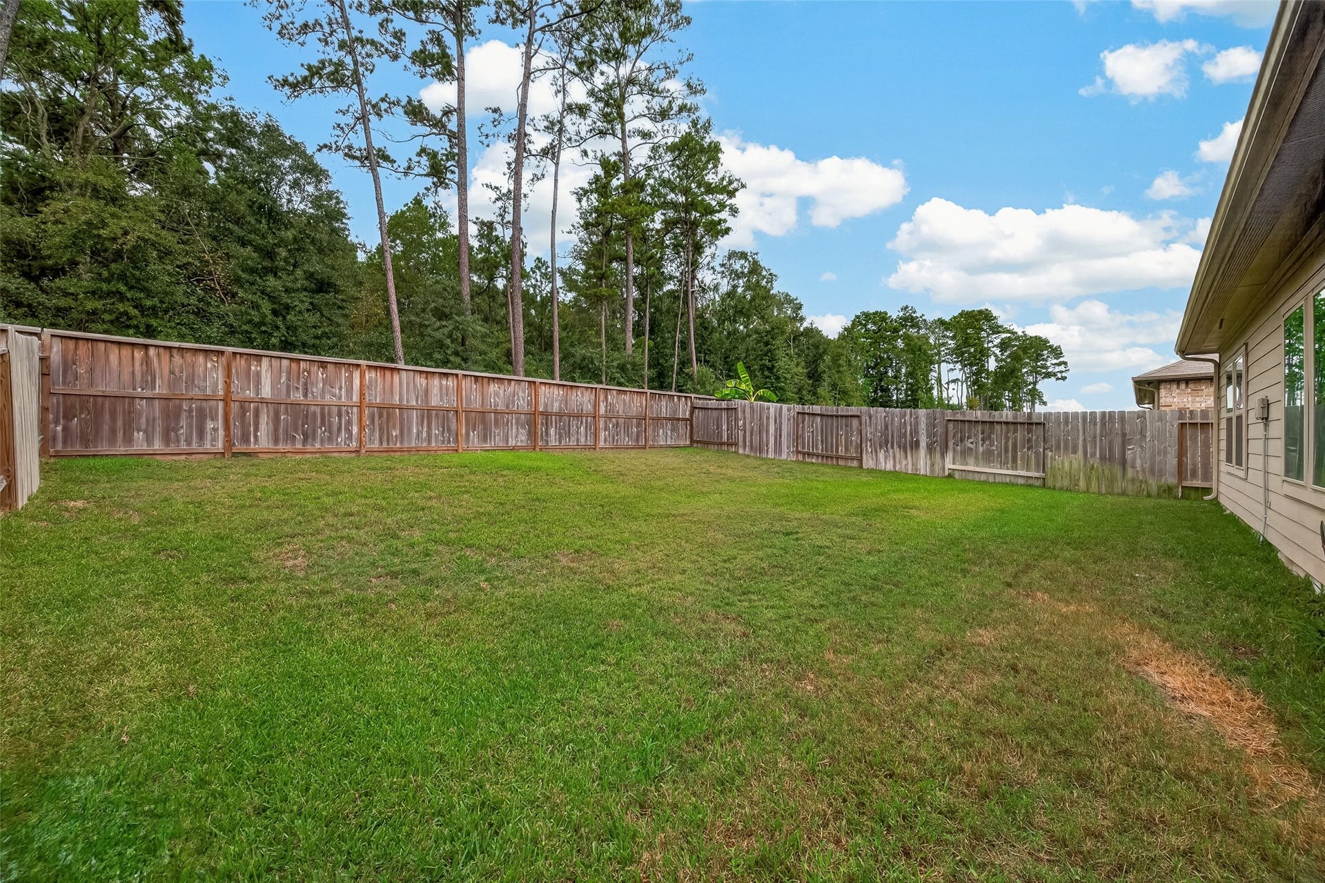 21541 Starry Night Drive, New Caney, TX 77357 21541 Starry Night Drive, New Caney, TX 77357
