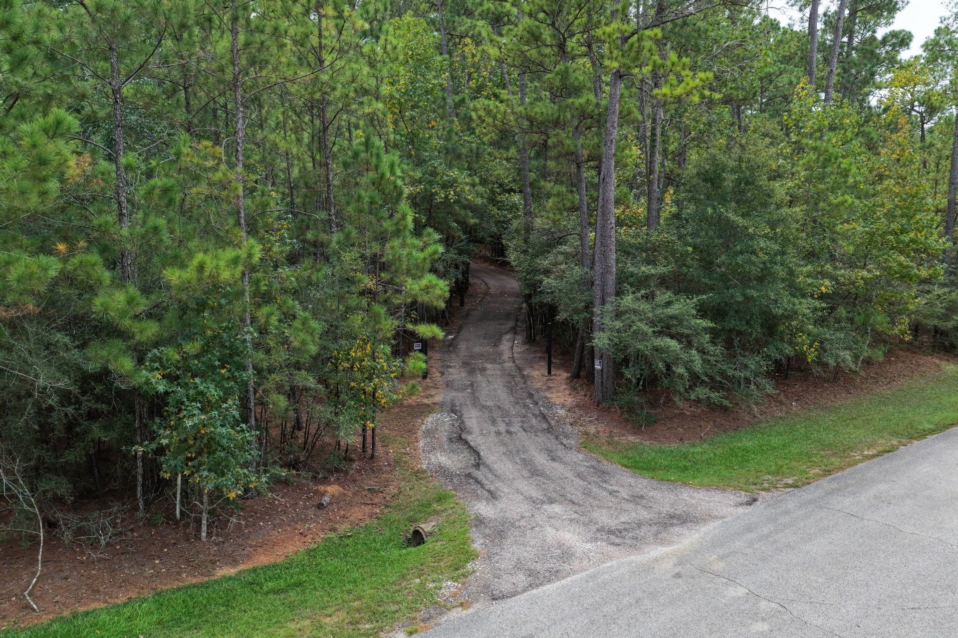 8803 Sendera Drive, Magnolia, TX 77354 8803 Sendera Drive, Magnolia, TX 77354