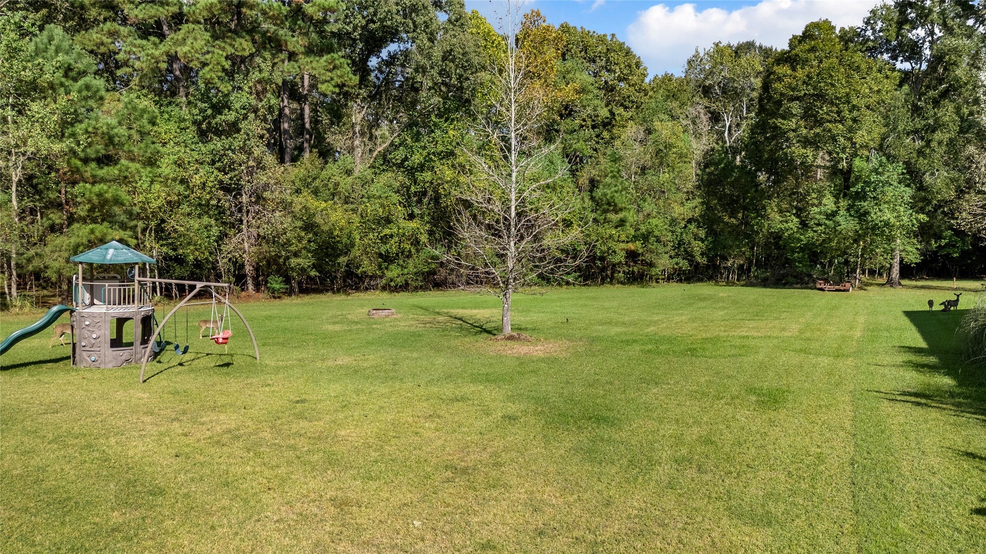 Wide-open skies, lush green grass, and endless possibilities! Imagine the outdoor adventures and memories waiting to be made here.