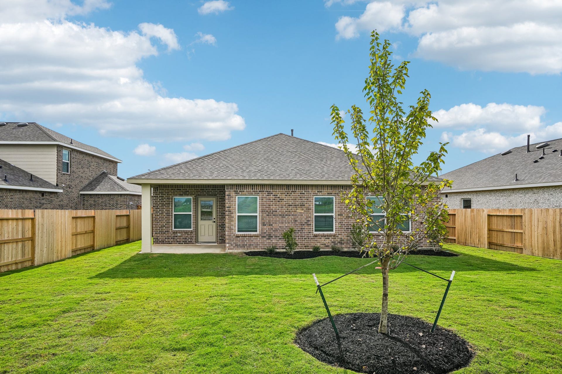 Lush landscaping in the backyard