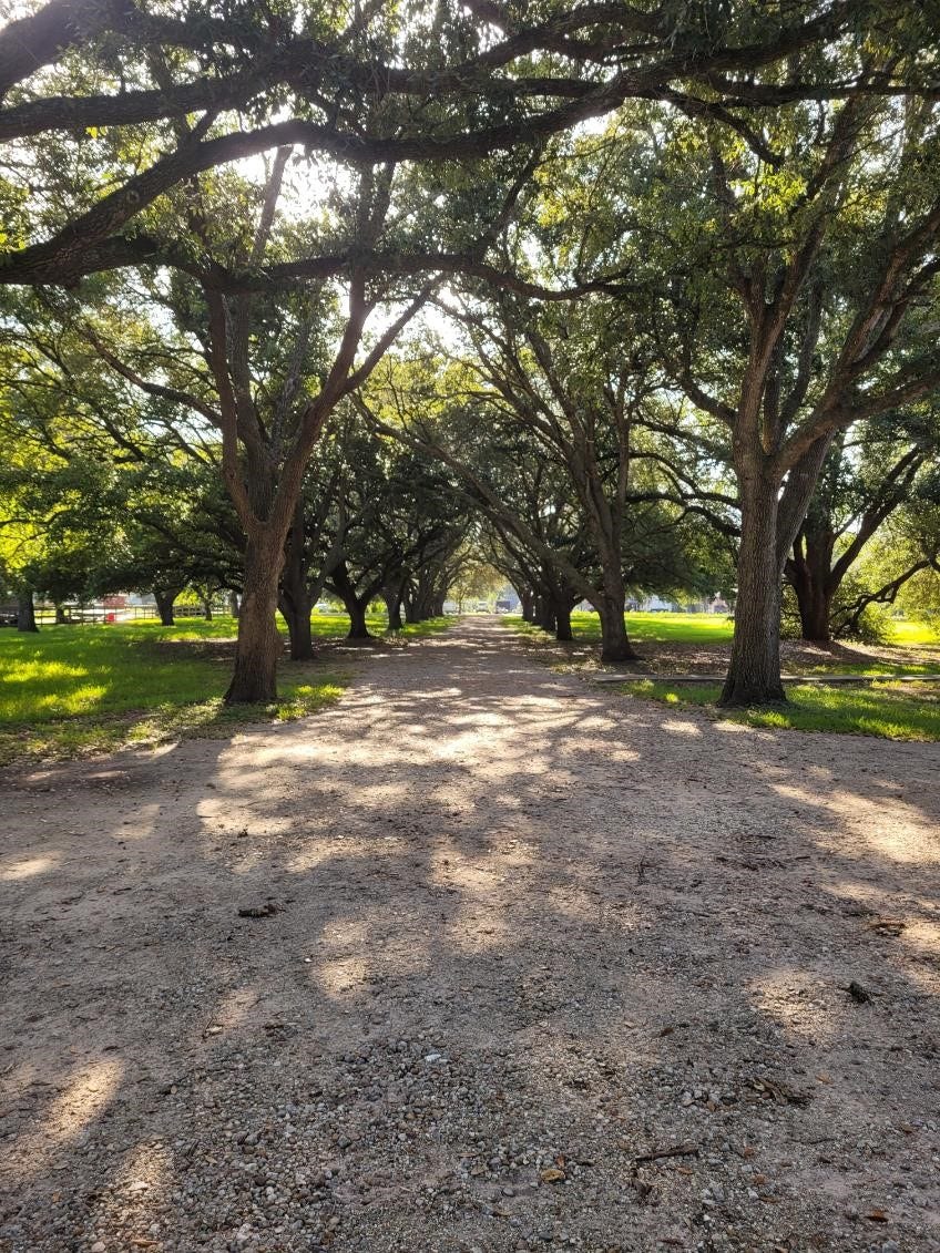 5606 Highland Road, Santa Fe, TX 77517 5606 Highland Road, Santa Fe, TX 77517