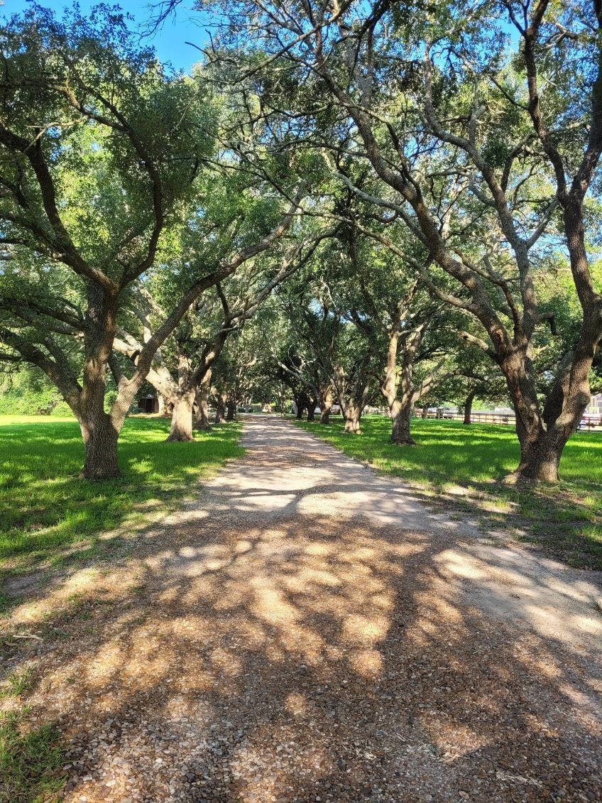5606 Highland Road, Santa Fe, TX 77517 5606 Highland Road, Santa Fe, TX 77517