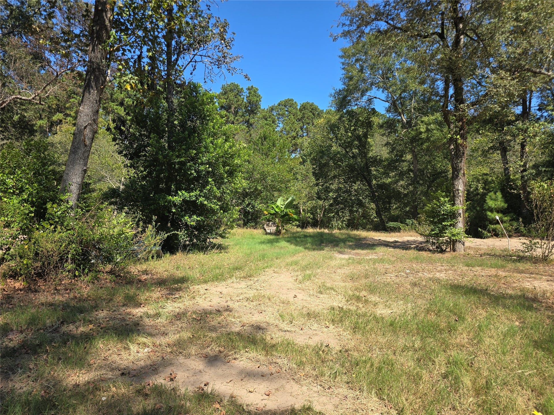 22017 Pinebrook Drive, New Caney, TX 77357 22017 Pinebrook Drive, New Caney, TX 77357