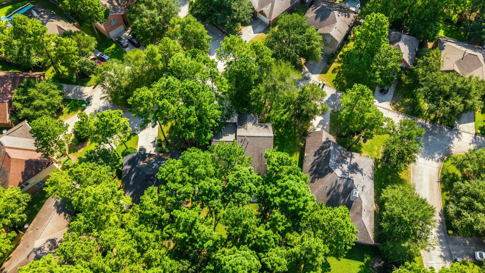3 Bonwick Court, The Woodlands, TX 77382 3 Bonwick Court, The Woodlands, TX 77382