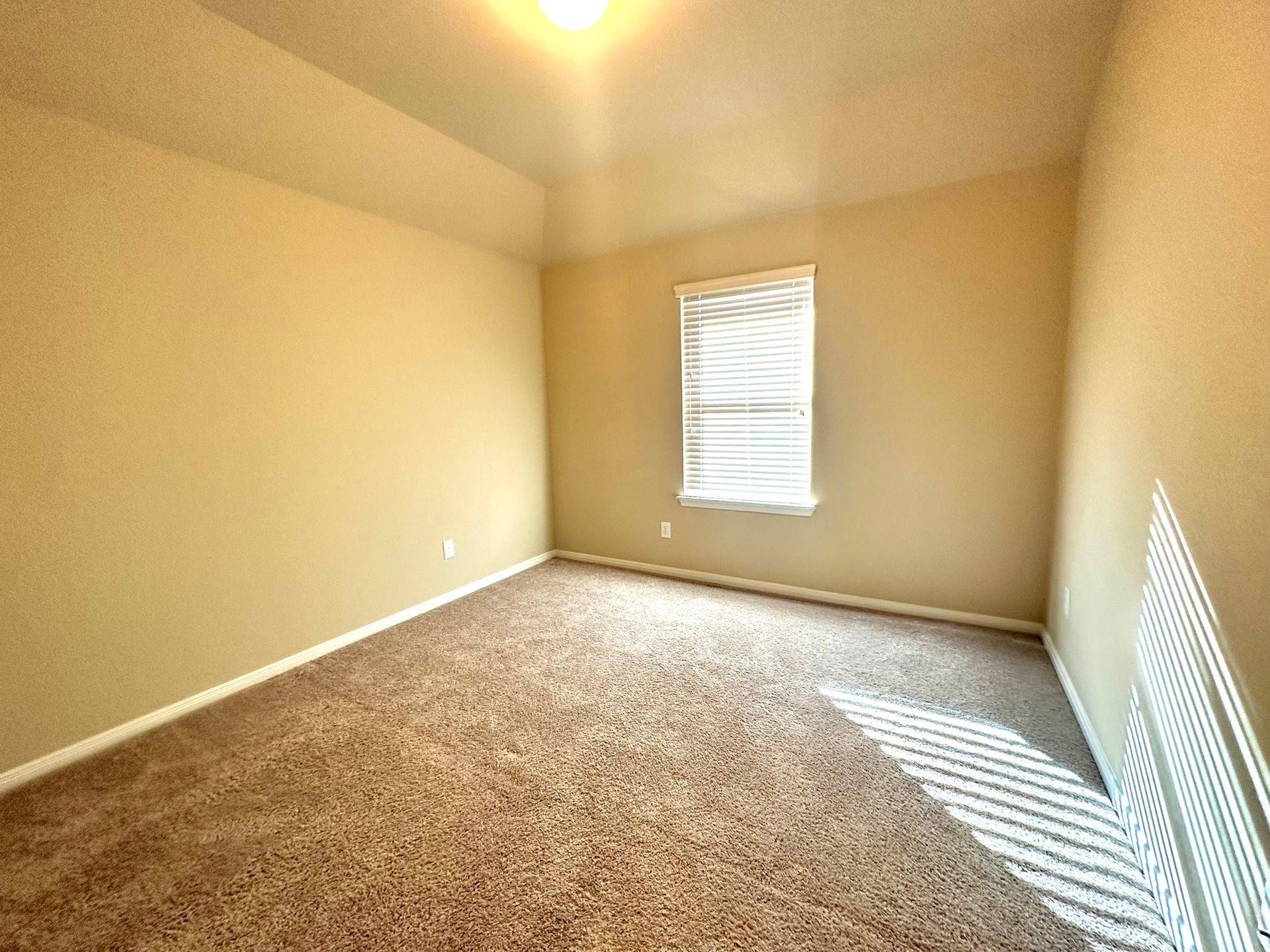 22407 Ebbets Field Drive, Spring, TX 77389 22407 Ebbets Field Drive, Spring, TX 77389