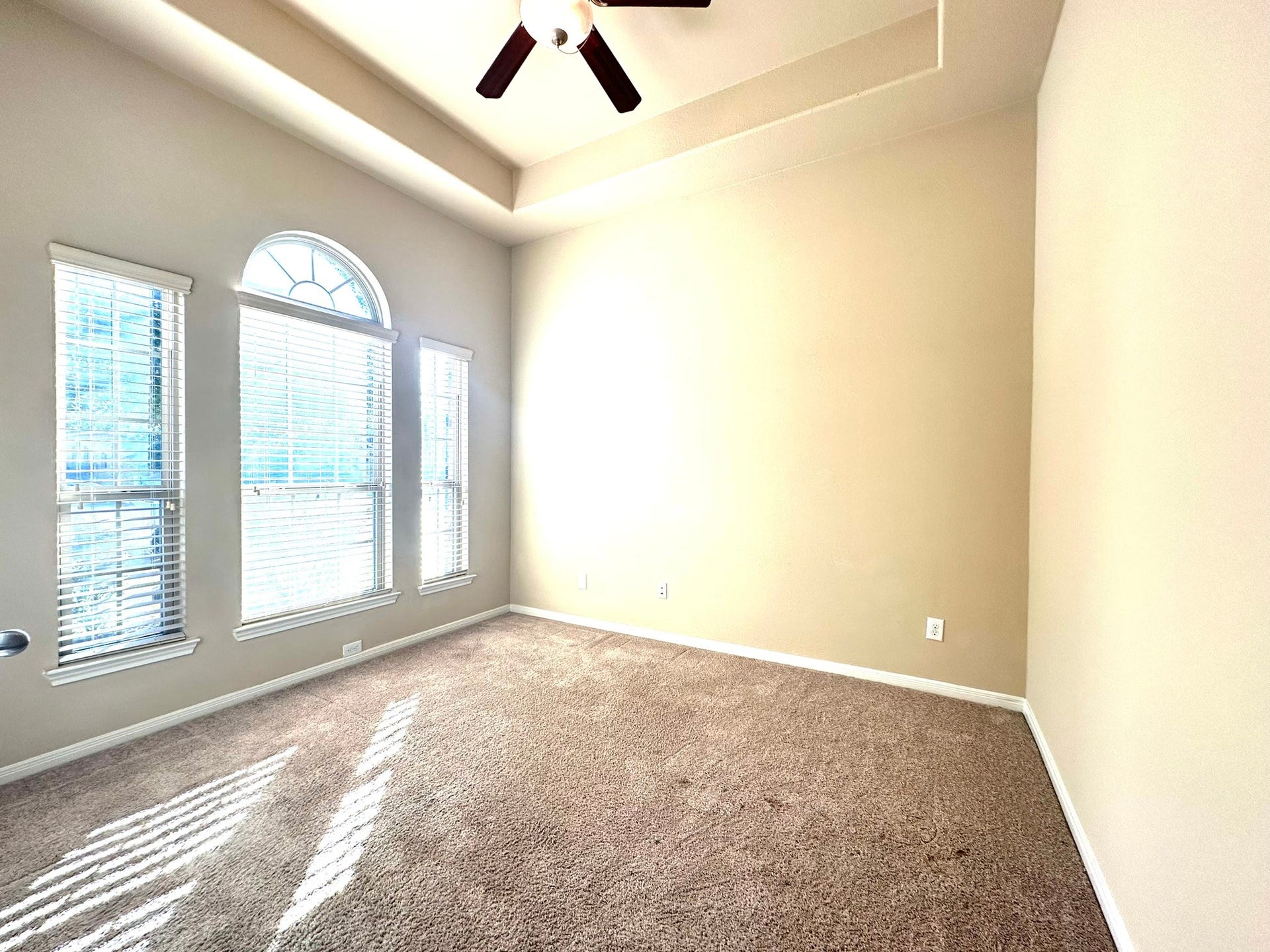 22407 Ebbets Field Drive, Spring, TX 77389 Office room
