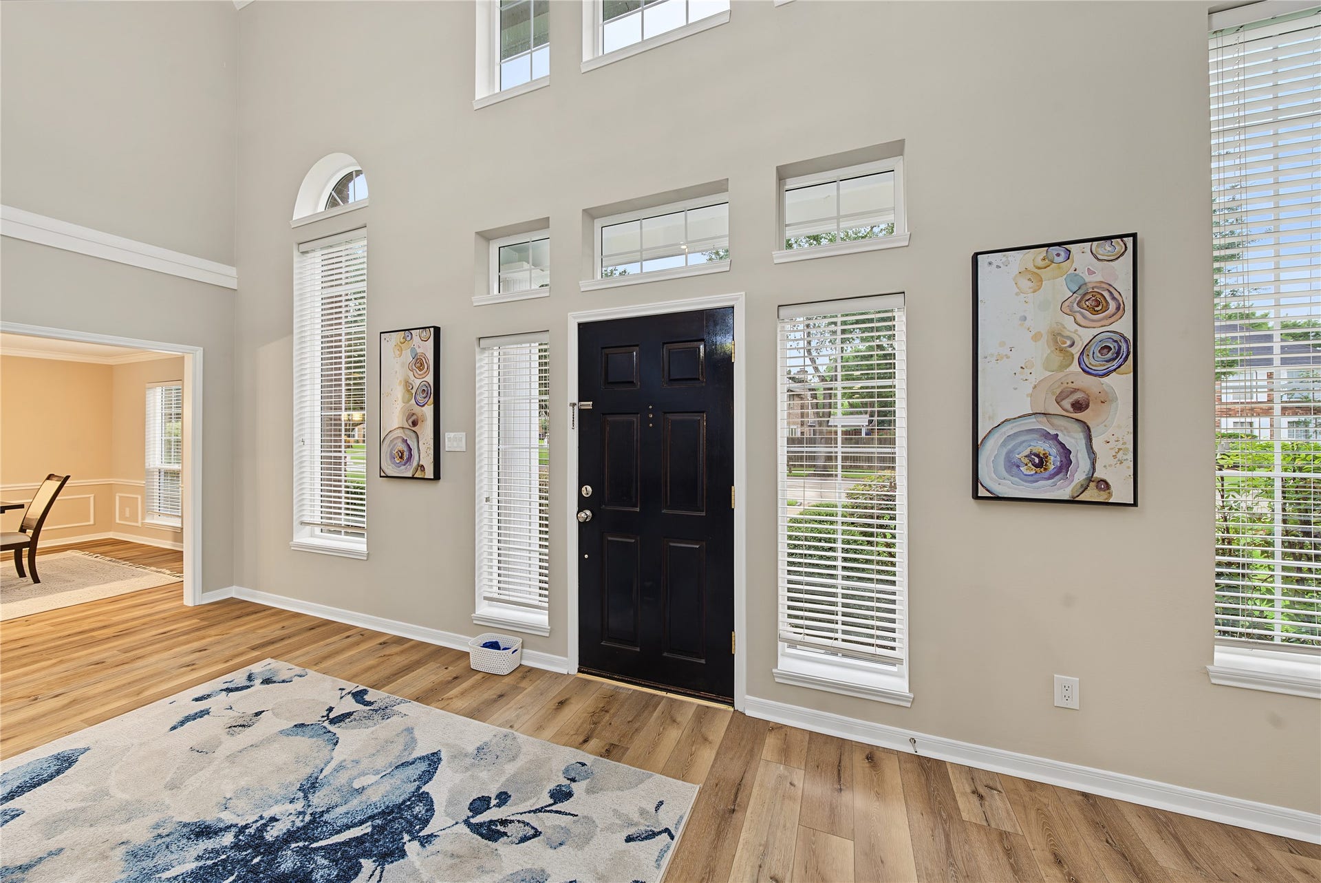 38 Penny Green Street, Sugar Land, TX 77479 Entry