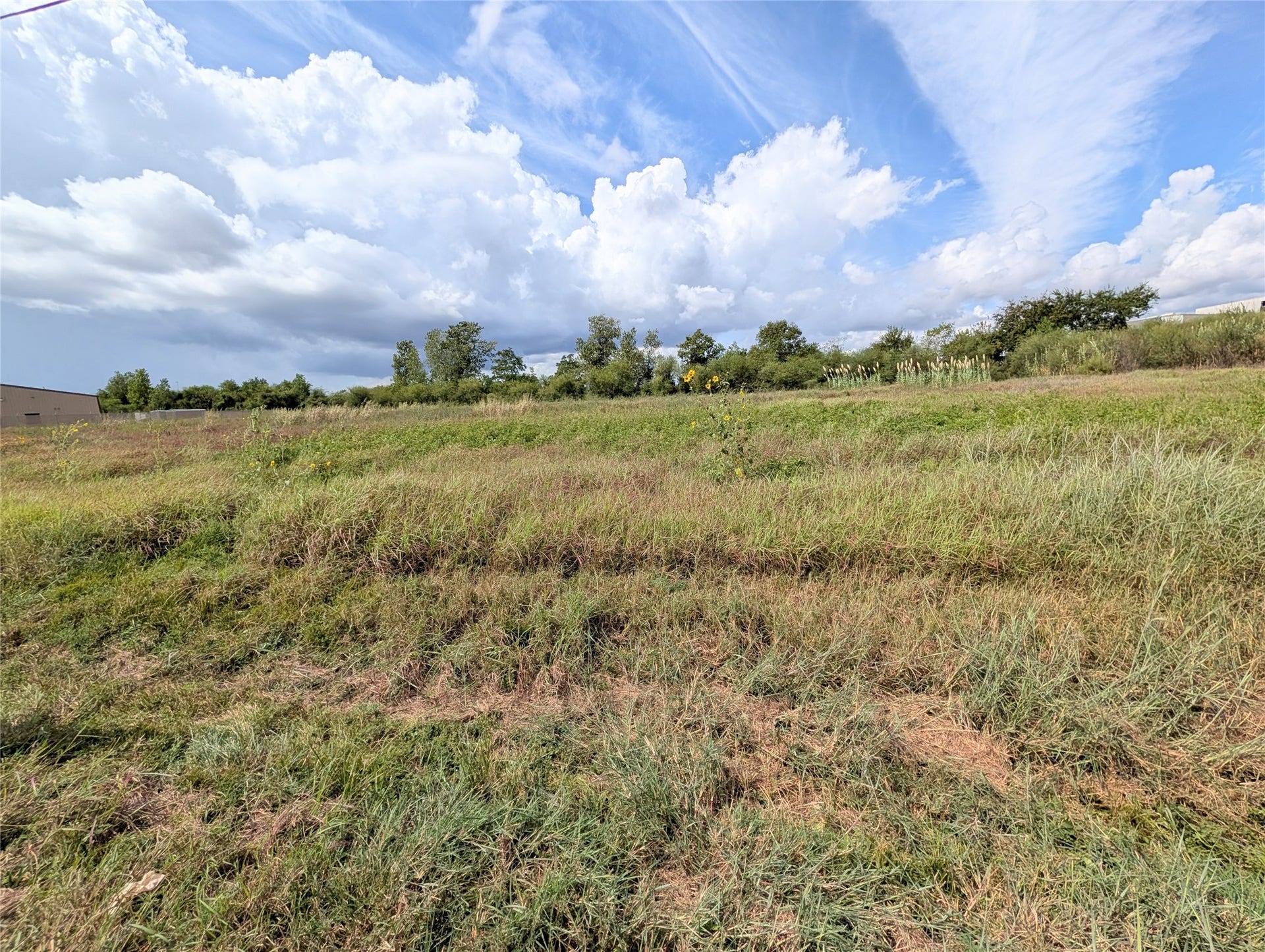 000 Walsh Road, Rosenberg, TX 77471 000 Walsh Road, Rosenberg, TX 77471