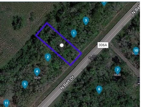 Property photo for 0 N Belt Street, Brazoria, TX
