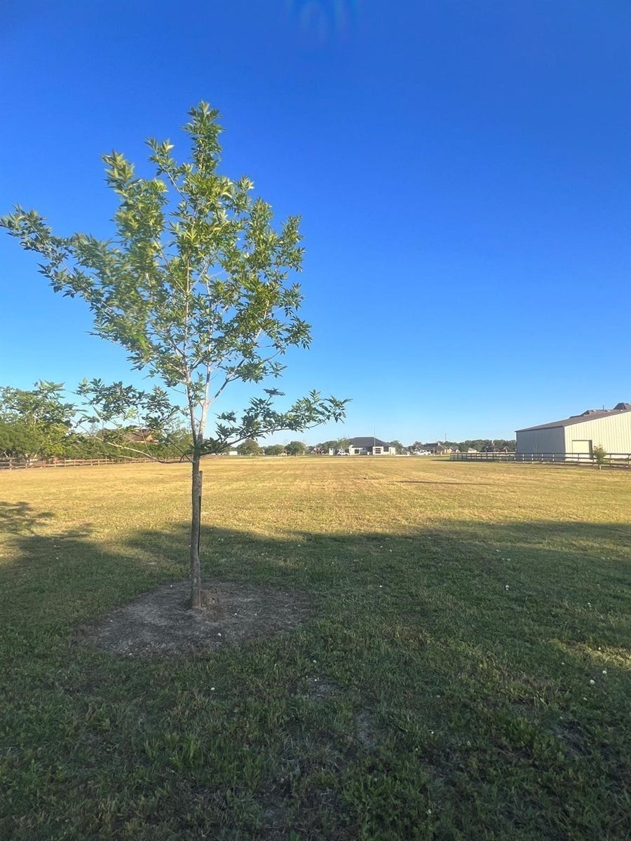 Property photo for 13702 Lakeview Meadow Drive, Richmond, TX