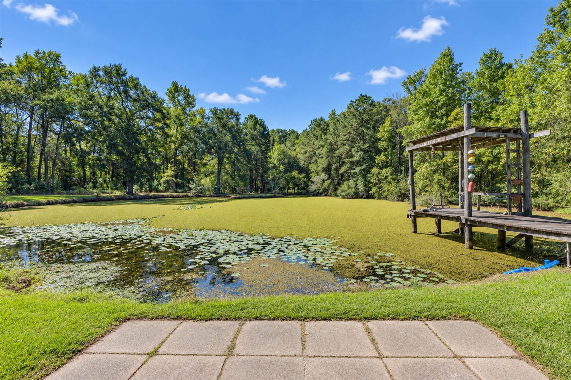 2009 Holder Rambo Road, Huffman, TX 77336 Serene pond view surrounded by lush greenery, featuring a rustic wooden dock perfect for relaxation and enjoying nature.