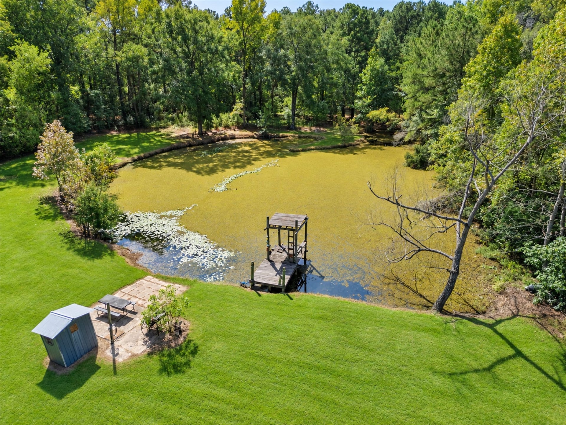 2009 Holder Rambo Road, Huffman, TX 77336 Expansive backyard oasis with a serene pond, lush greenery, and a charming dock for relaxation and leisure.