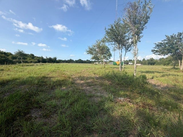 2884 Broadway Street, Dickinson, TX 77539 2884 Broadway Street, Dickinson, TX 77539