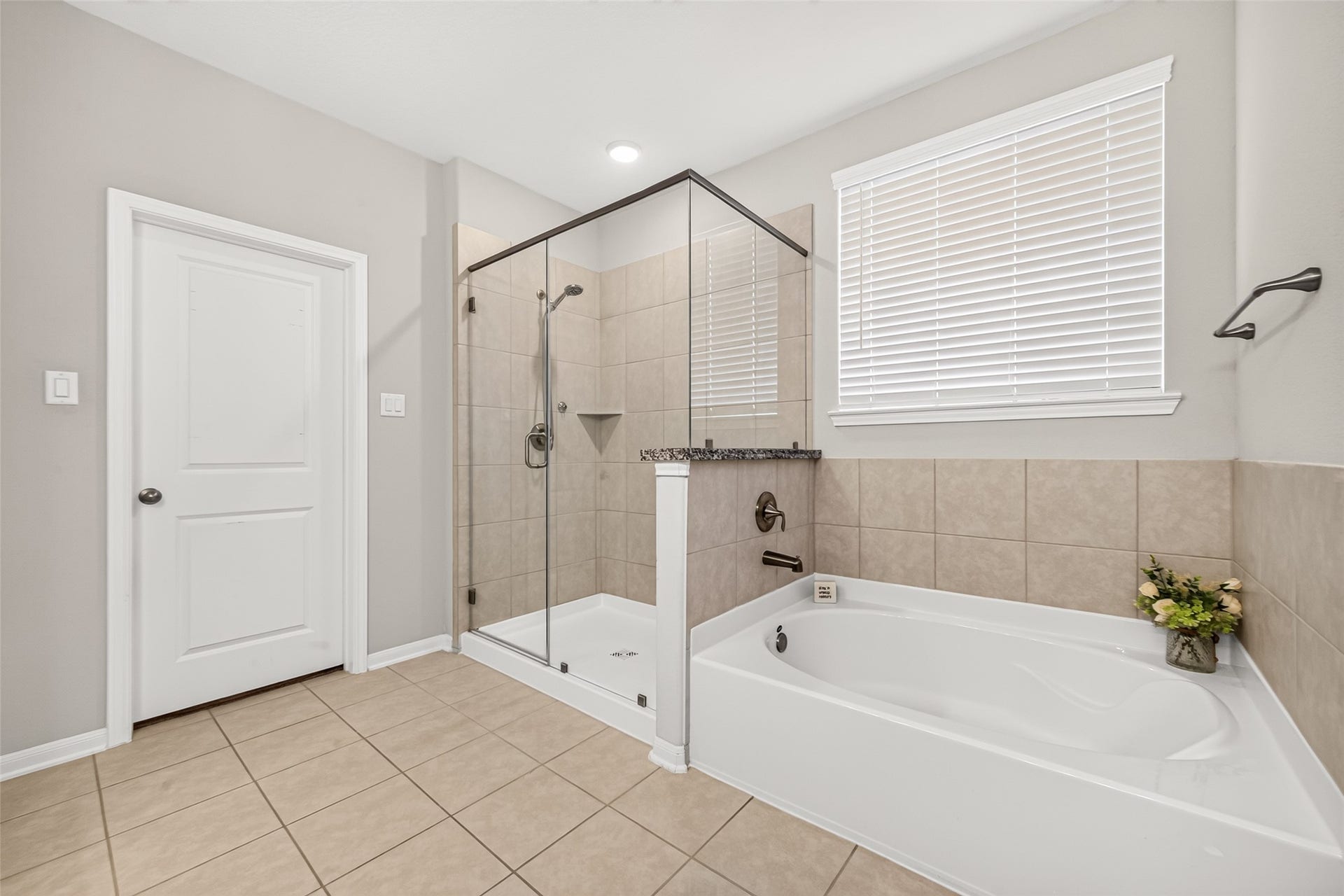 10707 Amador Peak Drive, Rosharon, TX 77583 Separate soaking tub and shower detailed with natural themed tiling.