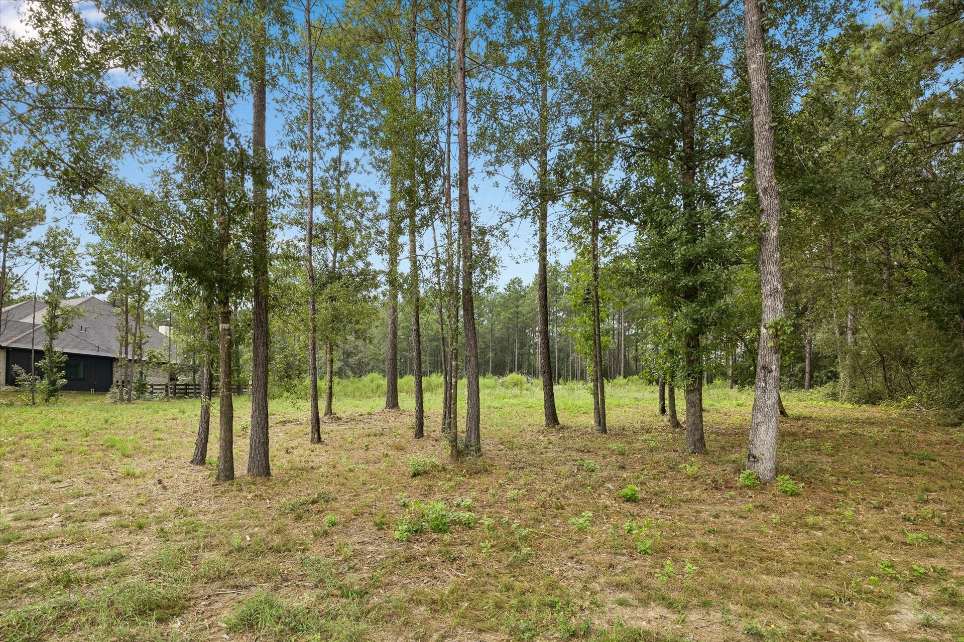 25171 Balmorhea Way, Montgomery, TX 77316