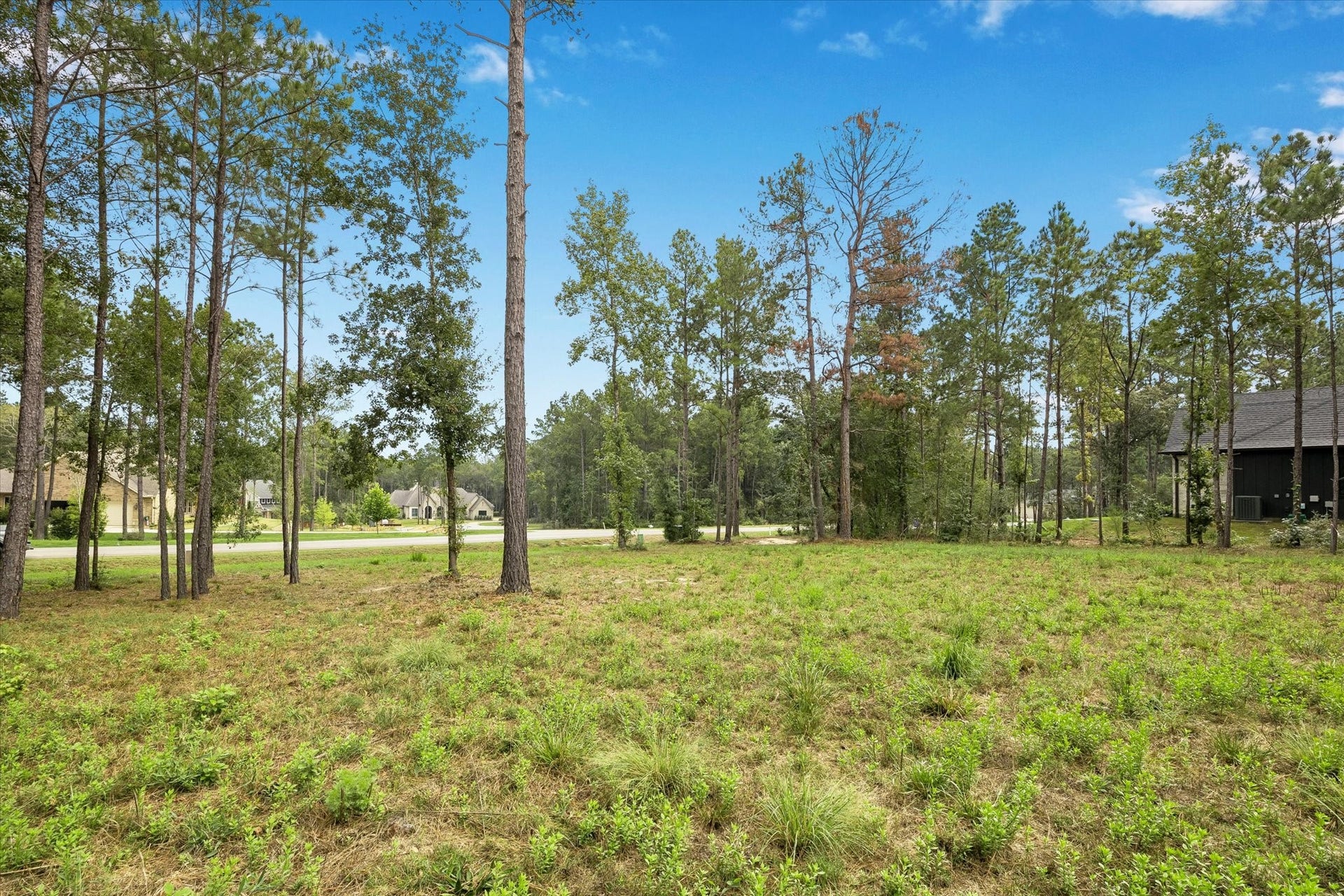 25171 Balmorhea Way, Montgomery, TX 77316