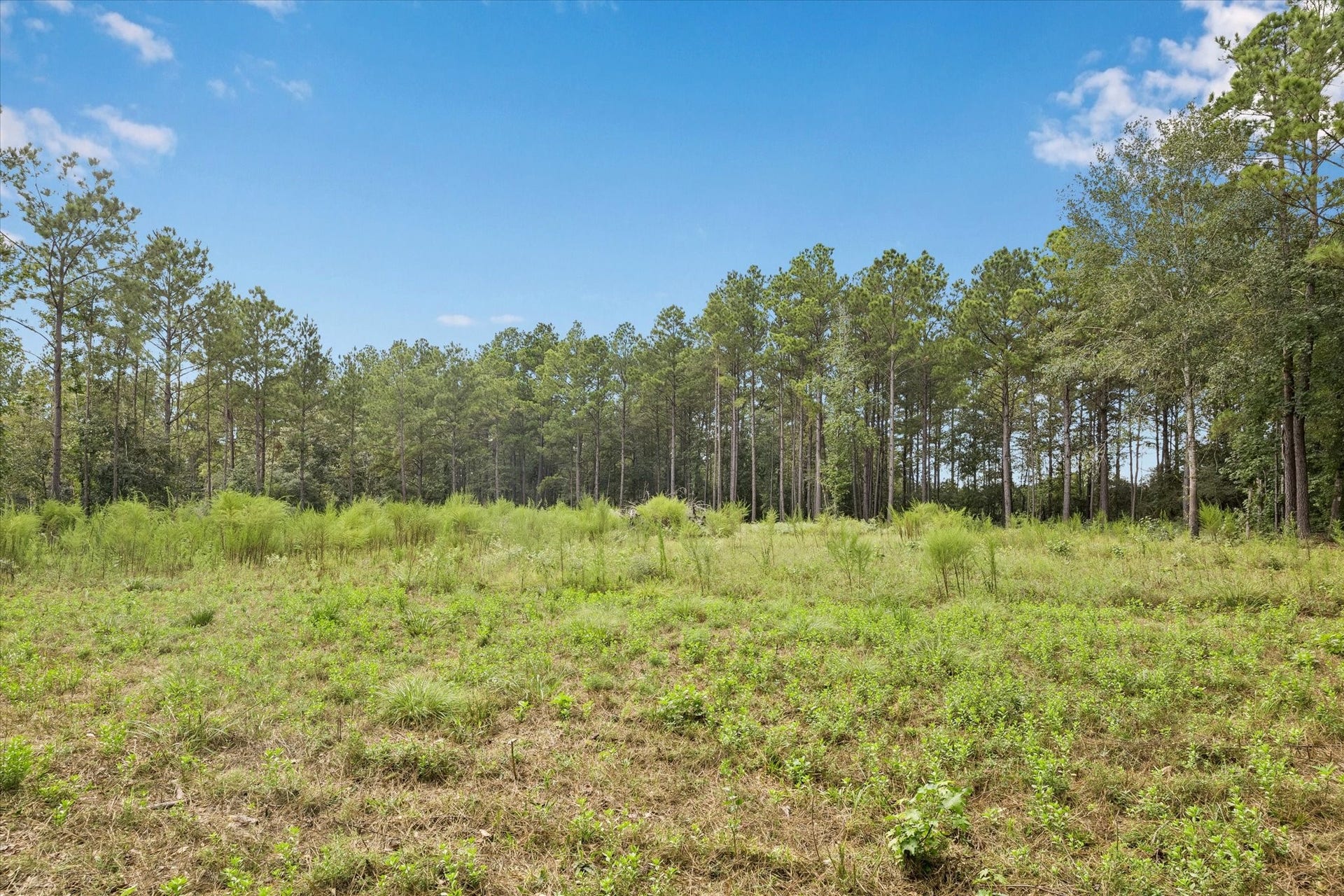 25171 Balmorhea Way, Montgomery, TX 77316