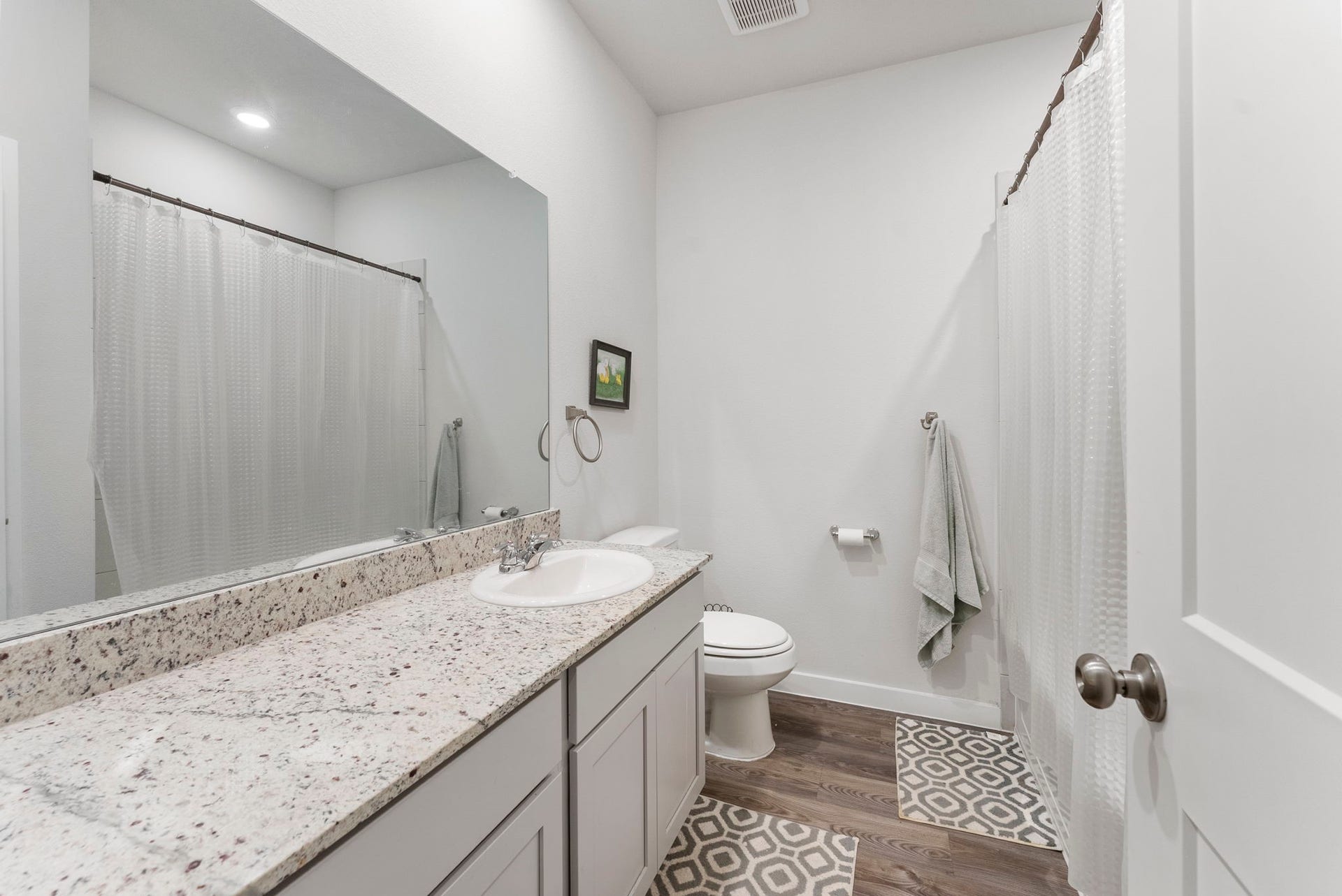 16998 Hazelnut Drive, Conroe, TX 77302 Guest bath.