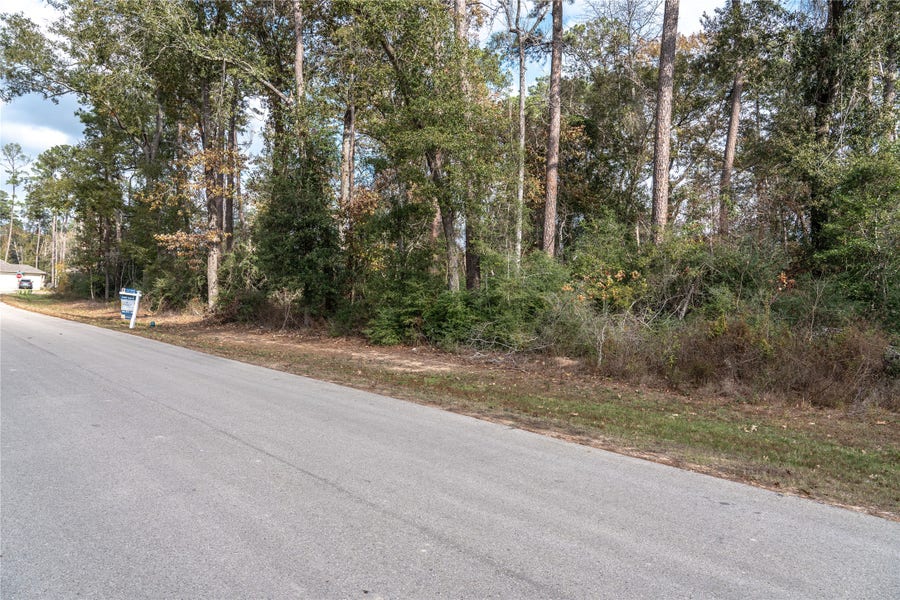 Property photo for 3010 Parthenon Place, New Caney, TX