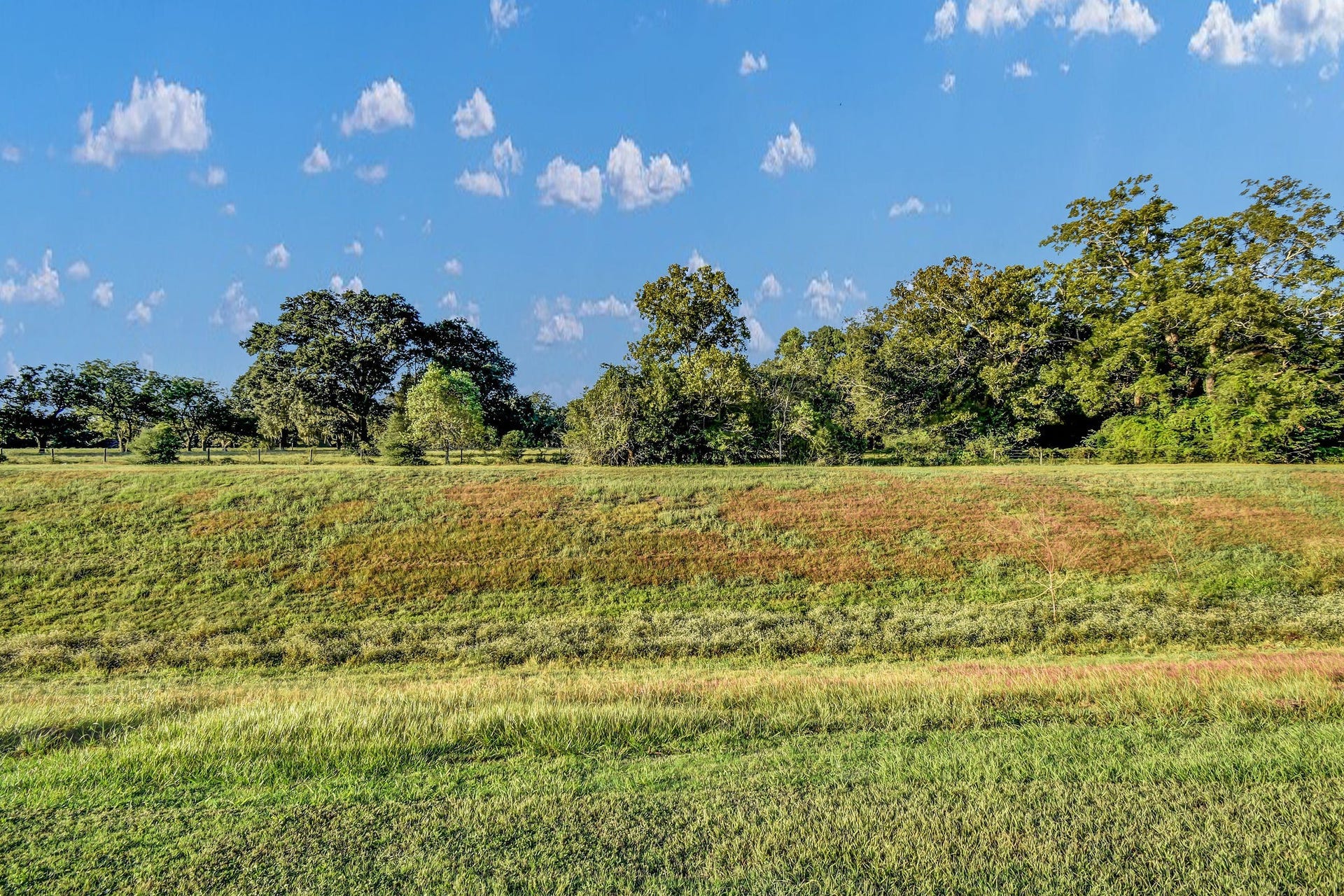 406 Wellshire Drive, West Columbia, TX 77486