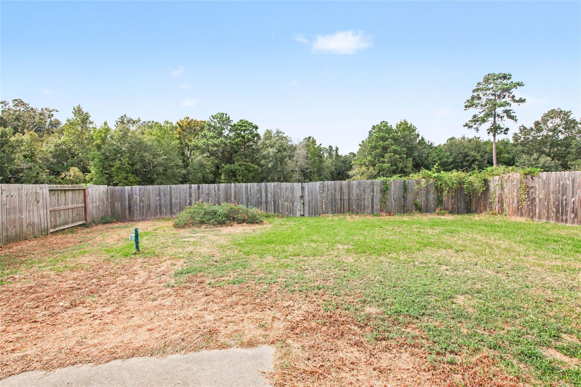 2043 Briar Grove Drive, Conroe, TX 77301