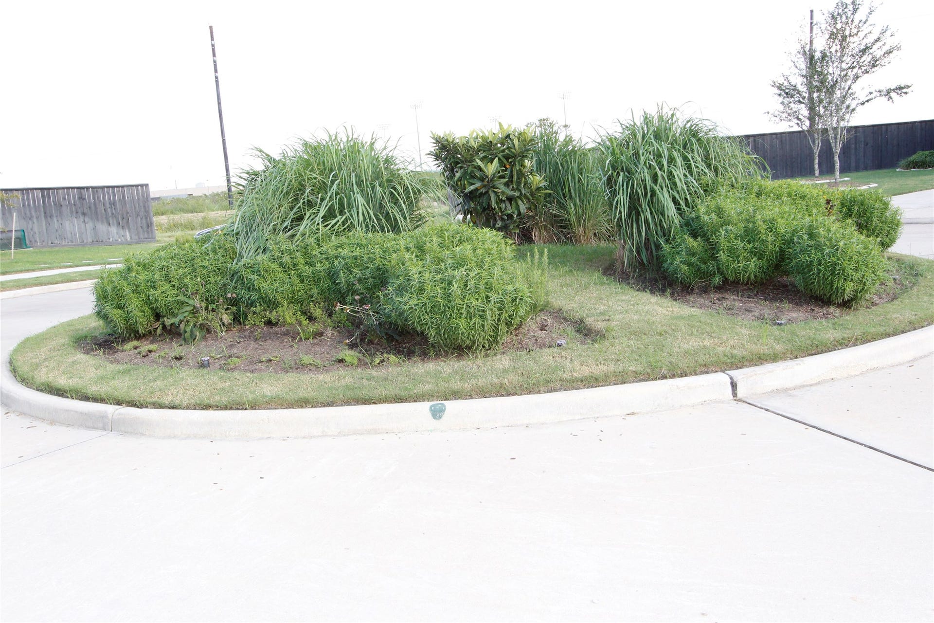 906 Daffodil View Court Court, Richmond, TX 77406 Cul- De- Sac in the front of the house