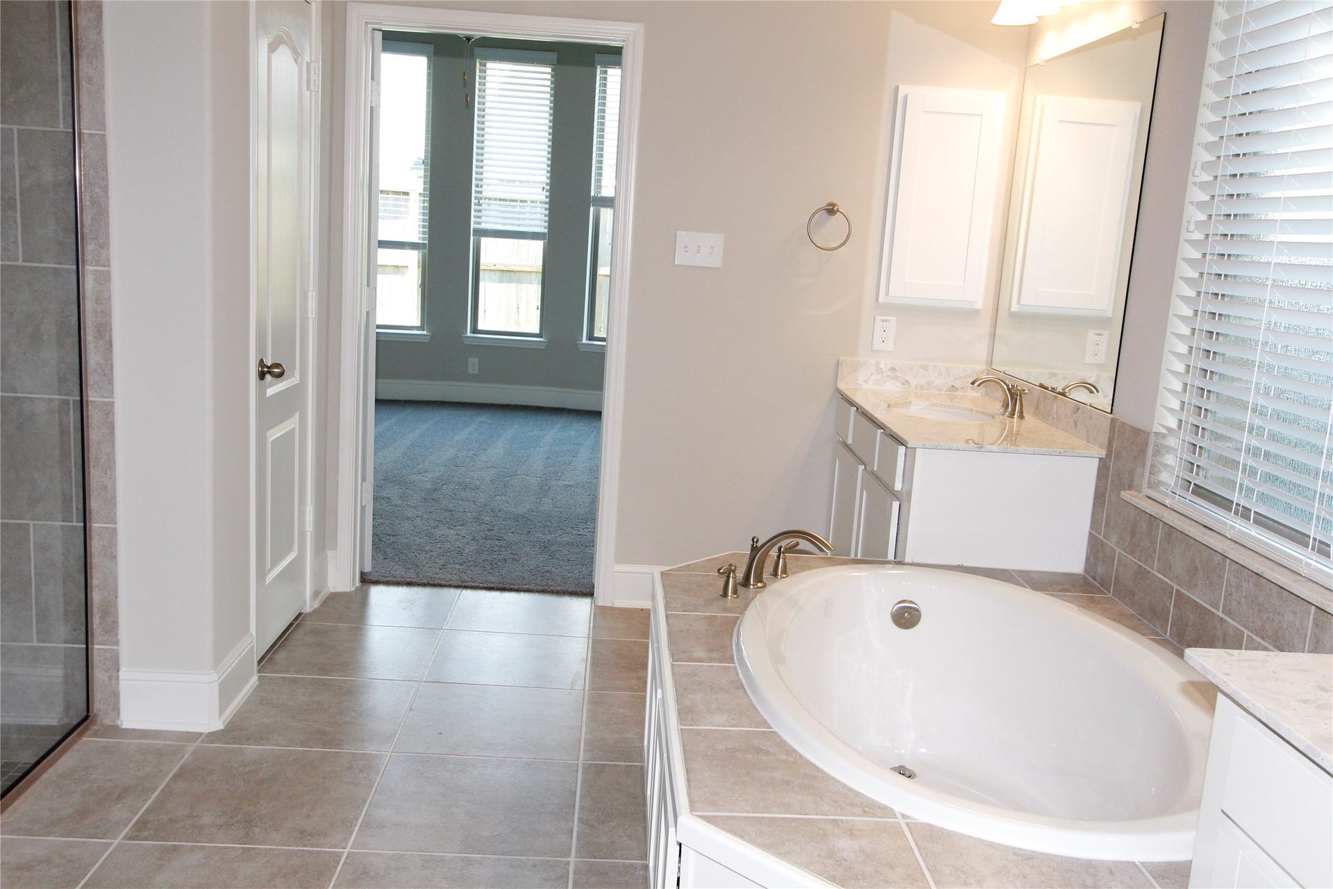 906 Daffodil View Court Court, Richmond, TX 77406 Master bathroom view and one of the double sink