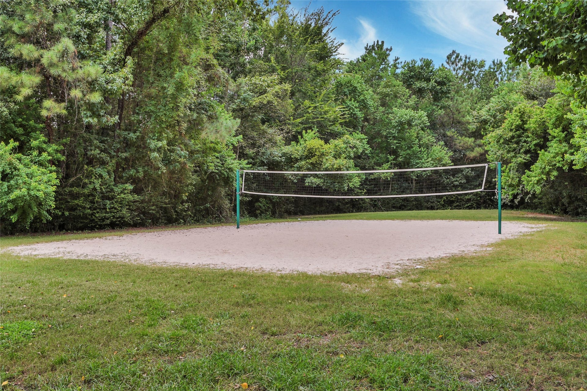 17247 Mitchell Pass Lane, Humble, TX 77346 Enjoy volleyball too!