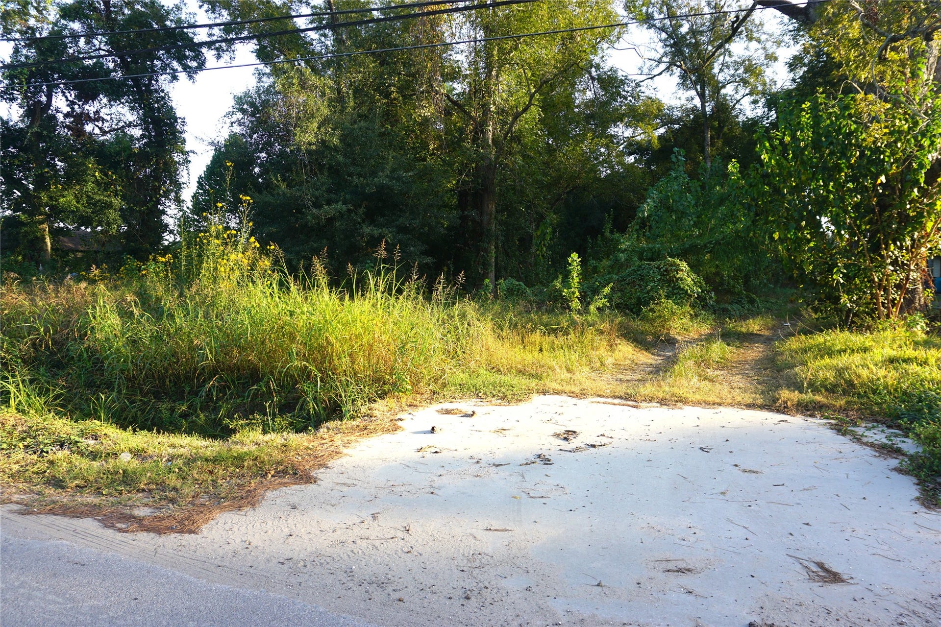 The entrance on the De Soto St.