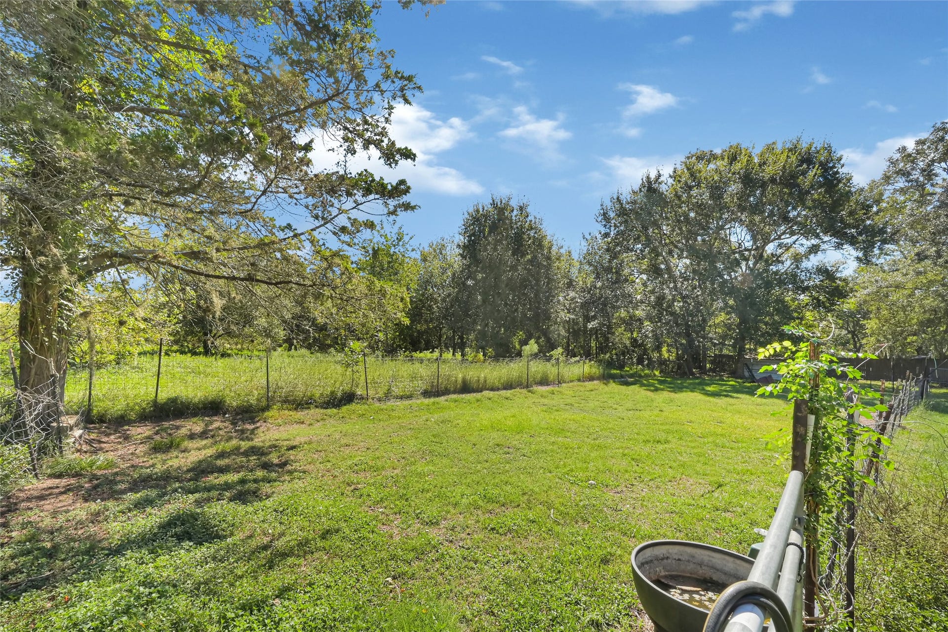 121 Patterson Road, #CR814, Brazoria, TX 77422 Sprawling green lawn with mature trees and a fenced boundary, perfect for outdoor activities or pets to roam freely.