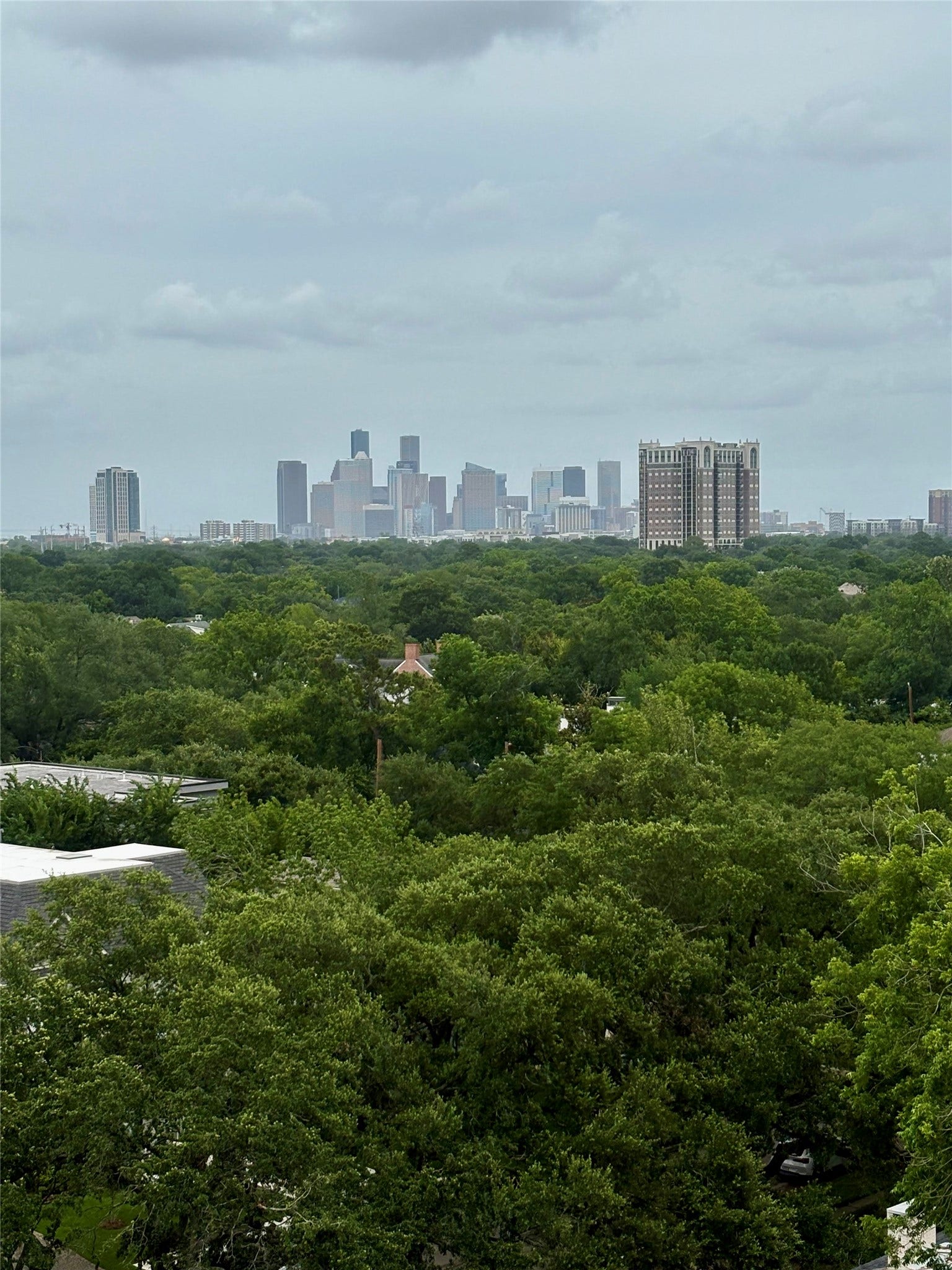 2360 RICE BOULEVARD, #1103, Houston, TX 77005 2360 RICE BOULEVARD, #1103, Houston, TX 77005